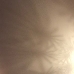 Meet your Posher, Joslyn